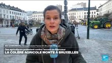 À Bruxelles, des agriculteurs protestent contre l'accord du Mercosur