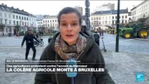 À Bruxelles, des agriculteurs protestent contre l'accord du Mercosur