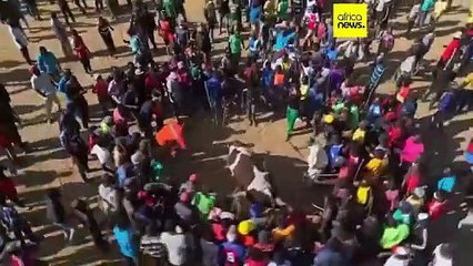 Kenya : la tauromachie, une tradition dans le comté de Kakamega