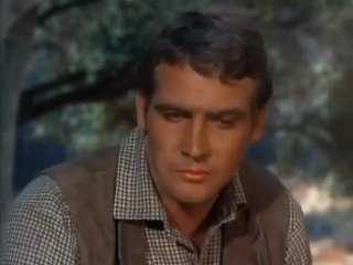 Palms of Glory Serie "Valle de Pasiones"