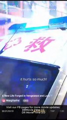 A New Life Forged in Vengeance and Love (Moboreels