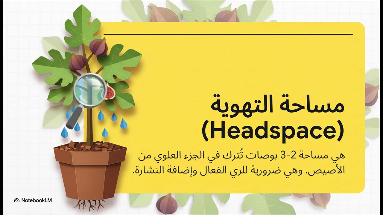 زراعة_التين_في_الأصص__دليل_المبتدئين