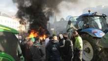 Wütende Landwirte: Protest gegen geplantes Mercosur-Handelsabkommen