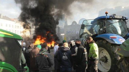 Wütende Landwirte: Protest gegen geplantes Mercosur-Handelsabkommen