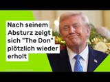 Donald Trump: Nach seinem Absturz zeigt sich 