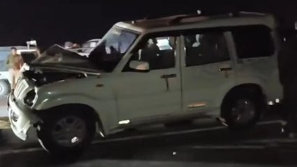 Video: वाहन ने सडक़ पर गोवंश को मारी टक्कर, चालक गाड़ी छोड़ फरार