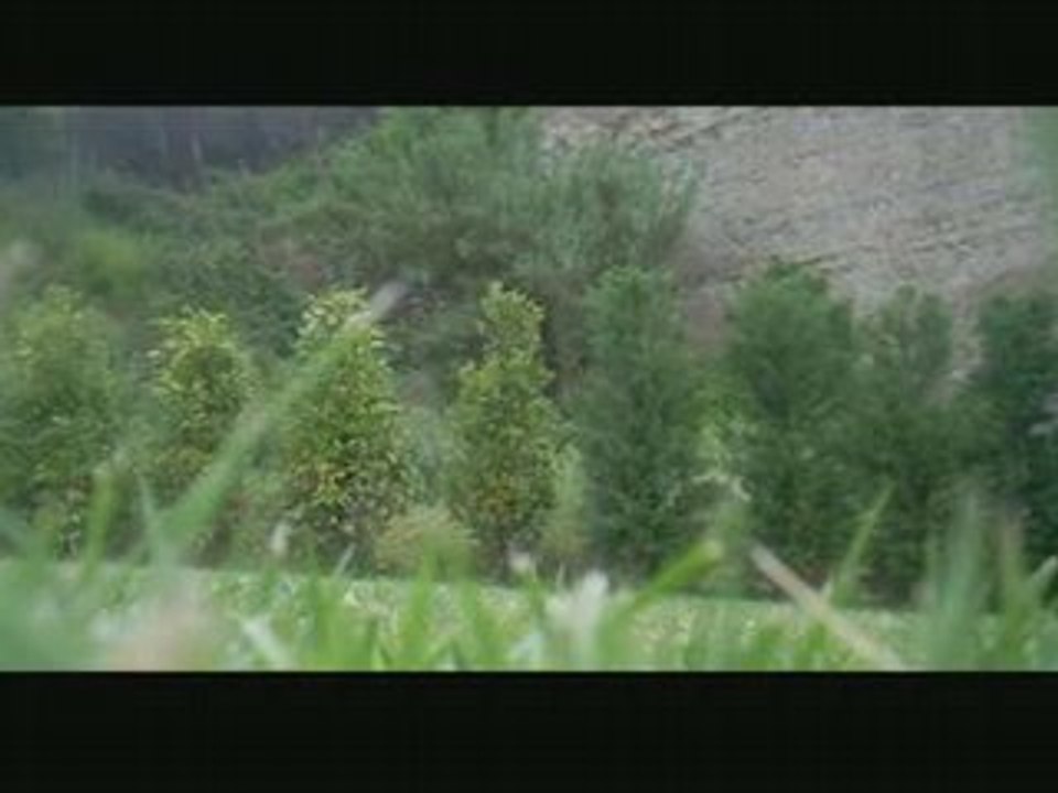FrontFlip training