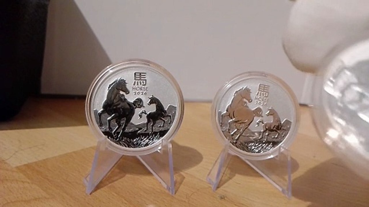 💲DIE BESTEN MÜNZEN 2026 (Gold und Silber!)💲