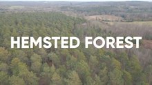 Tiny Treks: Hemsted Forest