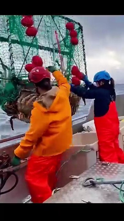 Catching king crab, anyone want to join? #kingcrab #videoshort #enjoy