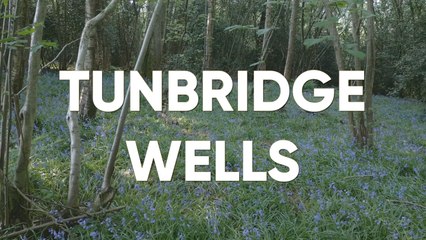 Tiny Treks: Tunbridge Wells