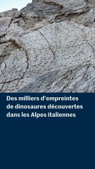 Des milliers d’empreintes de dinosaures découvertes dans les Alpes italiennes