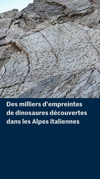 Des milliers d’empreintes de dinosaures découvertes dans les Alpes italiennes