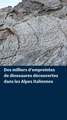 Des milliers d’empreintes de dinosaures découvertes dans les Alpes italiennes