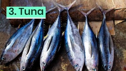 10 everyday items that are damaging the planet