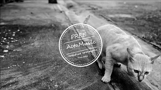 _MMusique _ Meizong - No Comments . Musique Instrumentale – Instrumental Music Tous Genres | Rock, Pop, Jazz, Relax, Cinematic