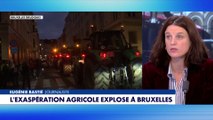 Eugénie Bastié : «Les agriculteurs n'ont pas les mêmes intérêts que les industriels allemands»