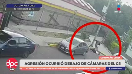 Mujer es agredida al defender a sus mascotas en Coyoacán | DPC con Paola Rojas