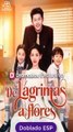 [Doblado ESP] De lágrimas a flores serie completa