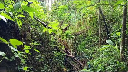 ANCIENT RIVER | EASILY FIND CRYSTAL STONES AND KURASA ROCKS HERE