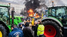 Las protestas de los agricultores por la PAC y Mercosur provocan disturbios en Bruselas