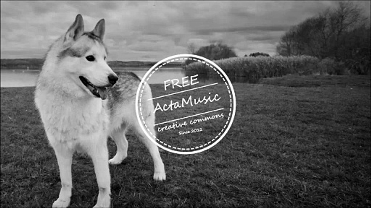 Musique _ Oskar Hill & Meizong - The Sound Of Summer.  Musique Instrumentale – Instrumental Music Tous Genres | Rock, Pop, Jazz, Relax, Cinematic