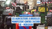 Les agriculteurs bloquent des routes à Bruxelles pour protester contre l'accord de libre-échange entre l'UE et le Mercosur