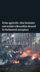 Crise agricole : les images des tensions qui ont éclaté à Bruxelles devant le Parlement européen
