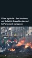 Crise agricole : les images des tensions qui ont éclaté à Bruxelles devant le Parlement européen