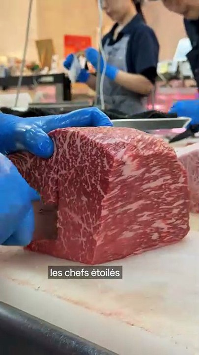 Waggyu : controle de la pureté par le Japon, et fuite illégale