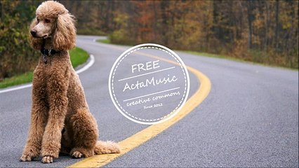 _MusiqMusique _ DOCTOR VOX - Gold .  Musique Instrumentale – Instrumental Music Tous Genres | Rock, Pop, Jazz, Relax, Cinematic