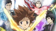 L’animé Reborn est de retour !