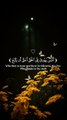 ارح قلبك وسمعك 🖤🎧#راحه_نفسيه #ارح_قلبك_المتعب_قليلاً🤍💫 #ارح_سمعك_وقلبك #القران_الكريم #عبدالرحمن_مسعد