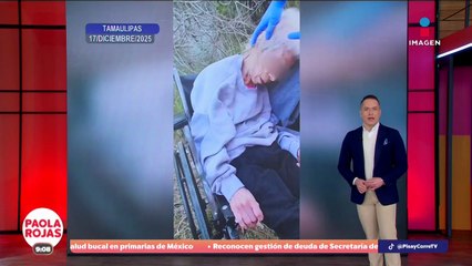 Jueza definirá proceso por muerte de perrita en pensión canina  | DPC con Paola Rojas