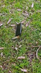 My Husband Is An American Hero Full Movie