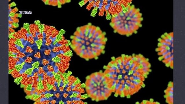 Suman casos de sarampión en Bahía de Banderas | CPS Noticias