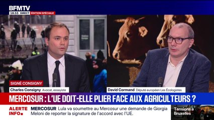 SIGNÉ CONSIGNY - "Cet accord, négocié depuis 1998 […] est anachronique", estime David Cormand, député européen "Les Écologistes"