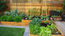10 High-Yield Vegetables for Smaller Gardens