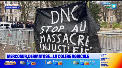 Bonsoir Lille du jeudi 18 décembre 2025