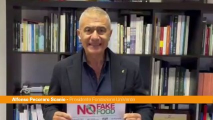 Pecoraro Scanio "Ue cambi rotta, smantellare Pac è tradire lo spirito europeo"