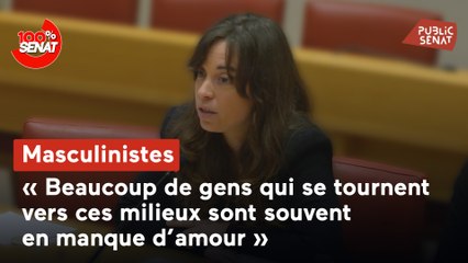 100% Sénat - Mouvements masculinistes : quel état des lieux ?