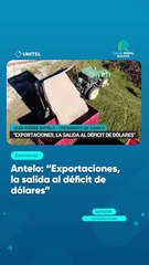 Antelo: "Exportaciones, la salida al déficit de dólares"