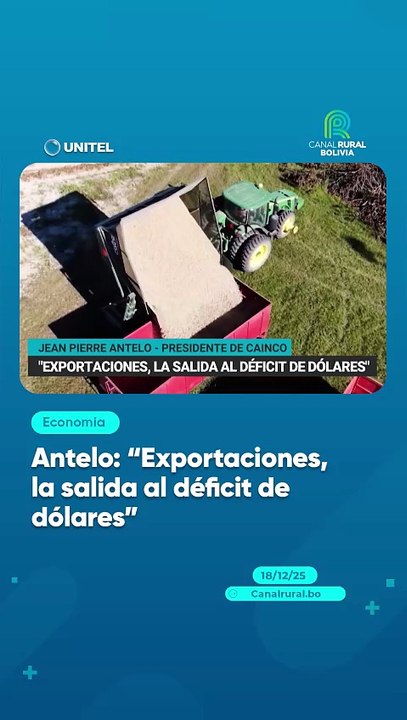 Antelo: "Exportaciones, la salida al déficit de dólares"