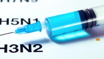 Facts: Flu Shot And Side Effects