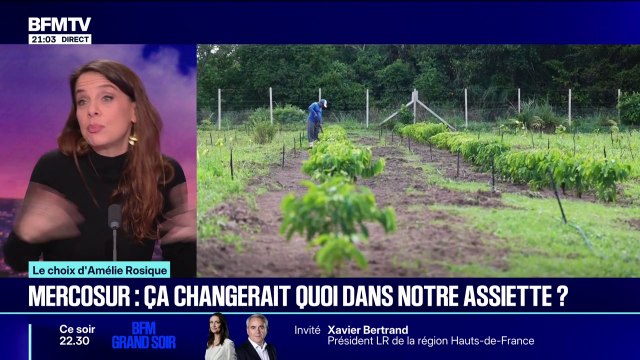LE CHOIX D’AMÉLIE ROSIQUE - Accord UE-Mercosur: ça changerait quoi dans notre assiette?