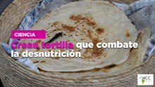 Crean tortilla que combate la desnutrición