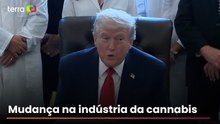 Trump assina decreto que recomenda classificar a maconha como droga ‘menos perigosa’ nos EUA