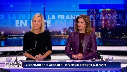 Accord UE-Mercosur : «C'est un acte de violence majeur contre l’agriculture», tranche Marine Le Pen