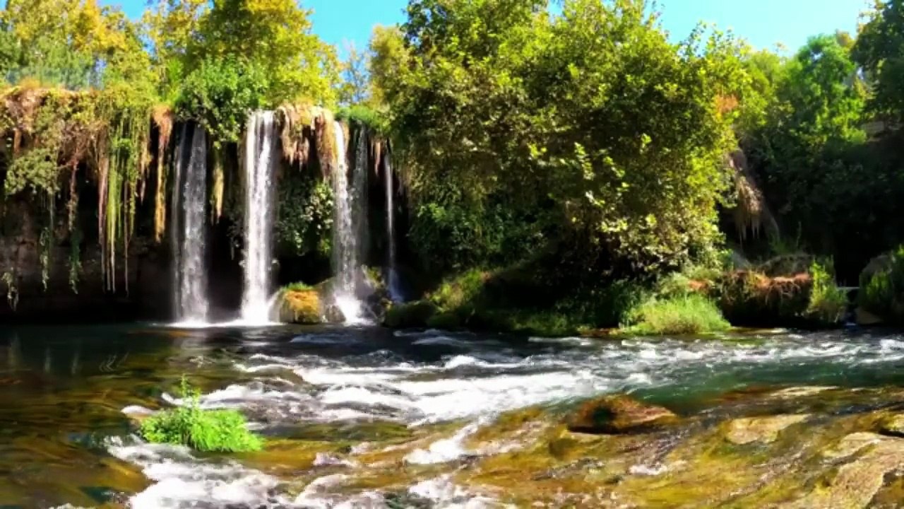 NATURE