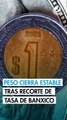 Peso cierra estable contra el dólar tras recorte de tasa del Banco de México